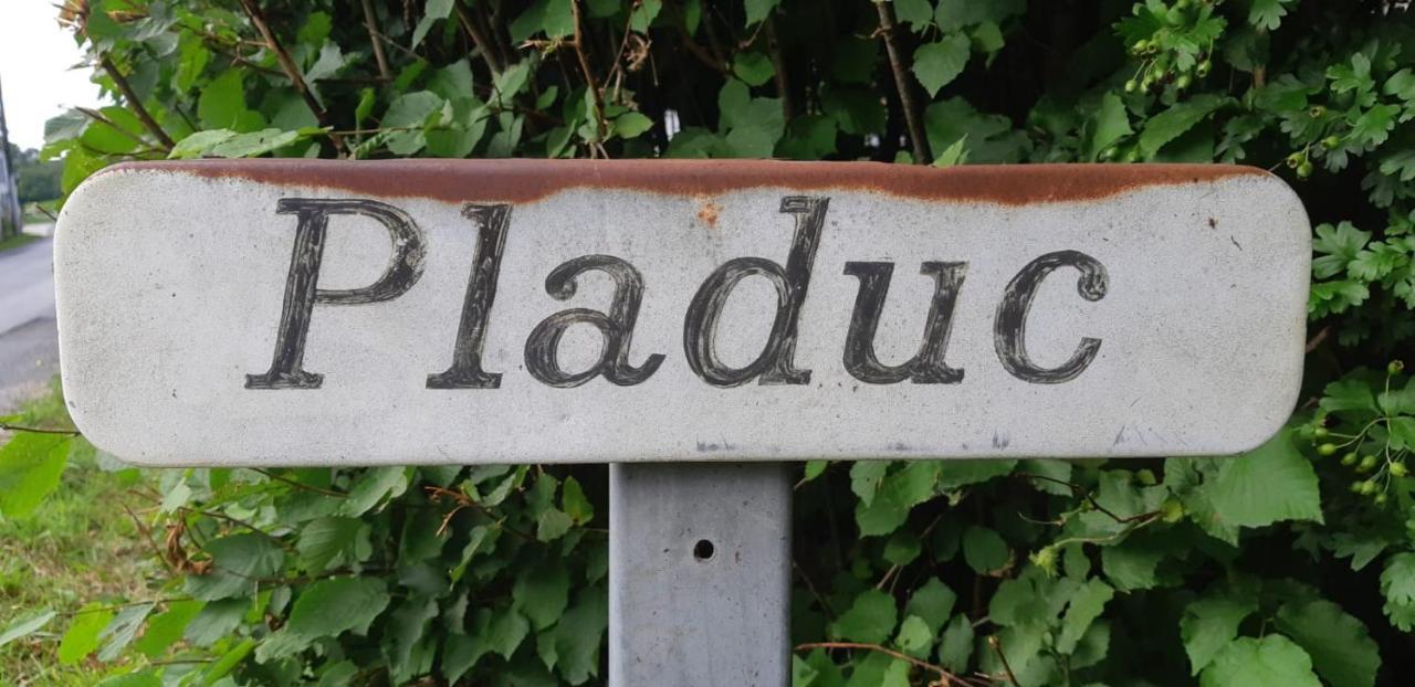 مبيت وإفطار Lachaise Domaine De Pladuc المظهر الخارجي الصورة