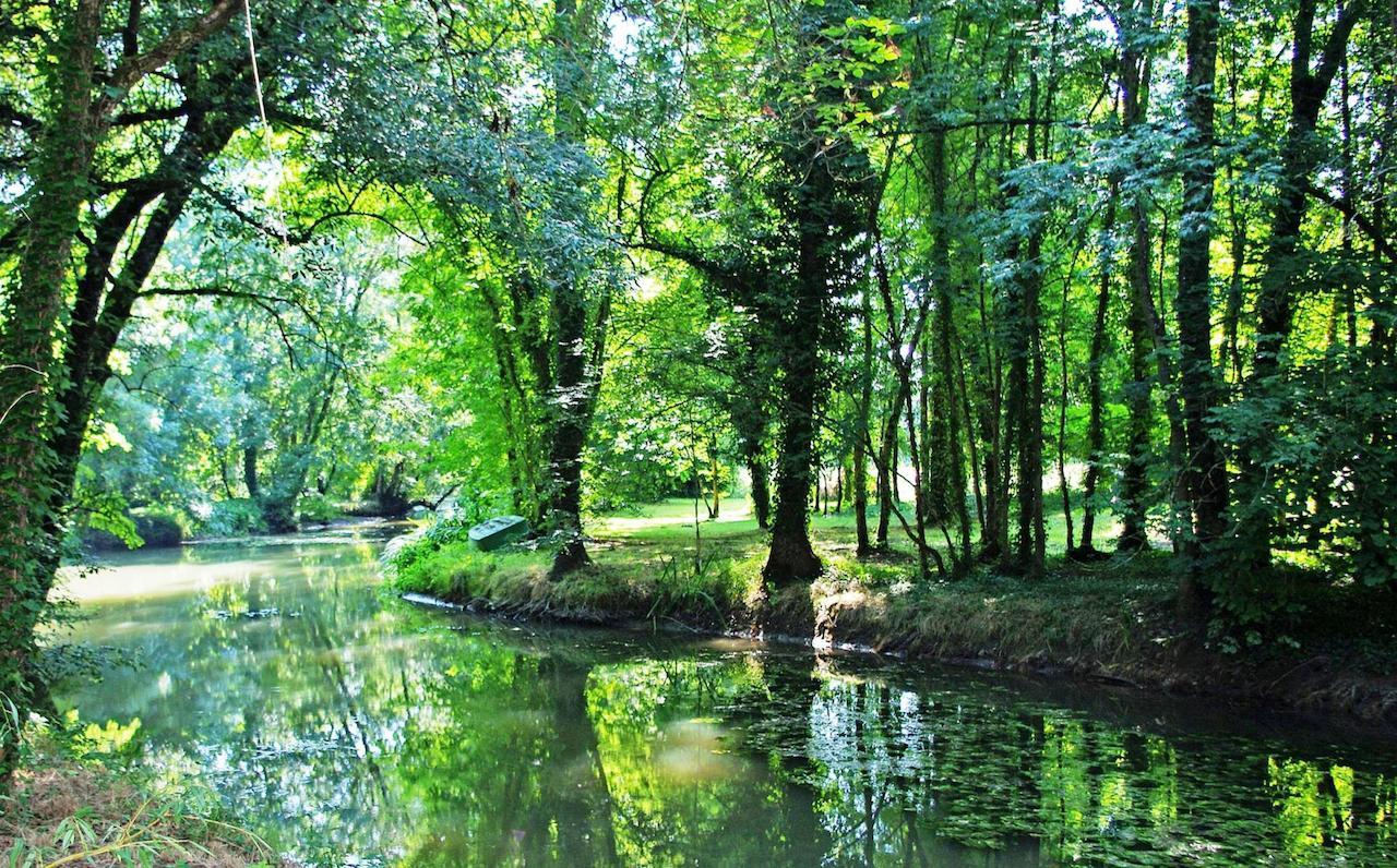 مبيت وإفطار Lachaise Domaine De Pladuc المظهر الخارجي الصورة
