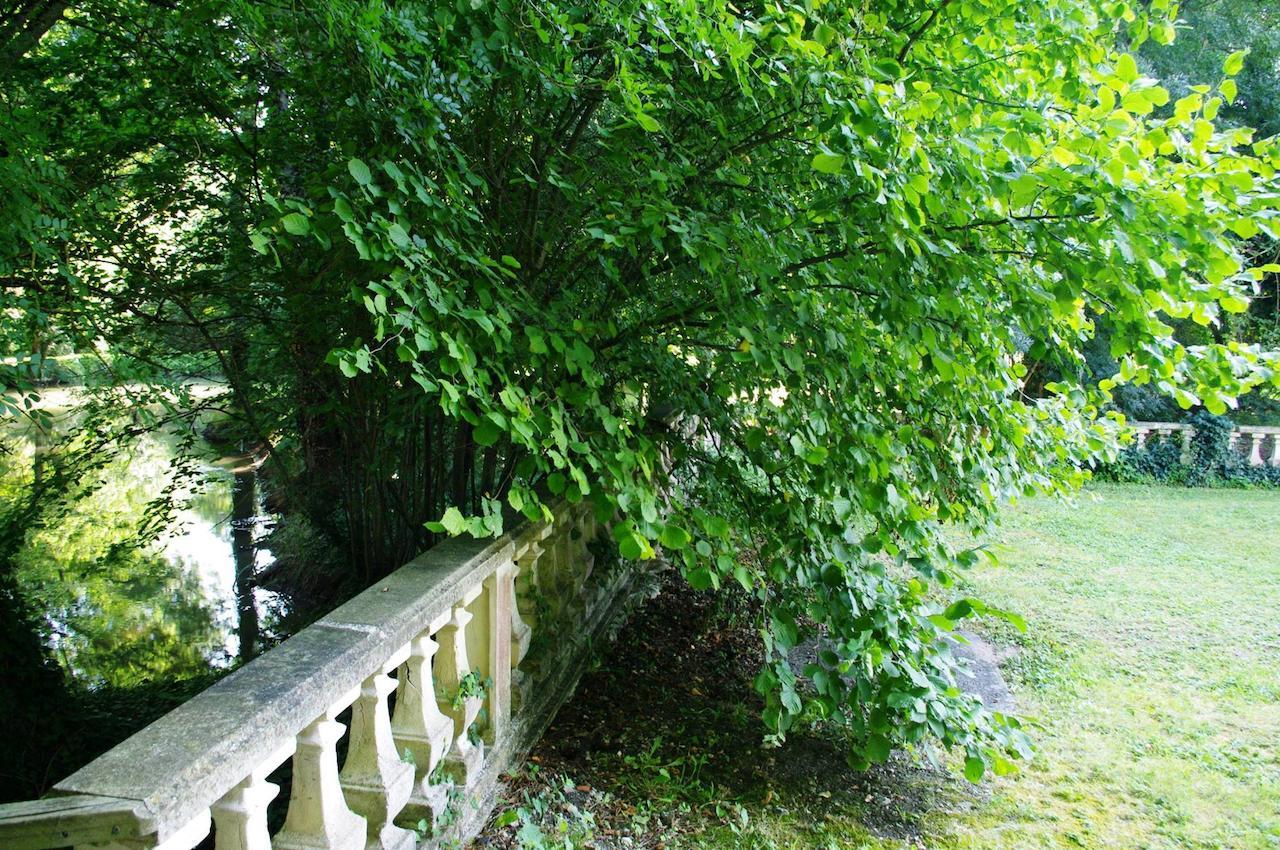 مبيت وإفطار Lachaise Domaine De Pladuc المظهر الخارجي الصورة